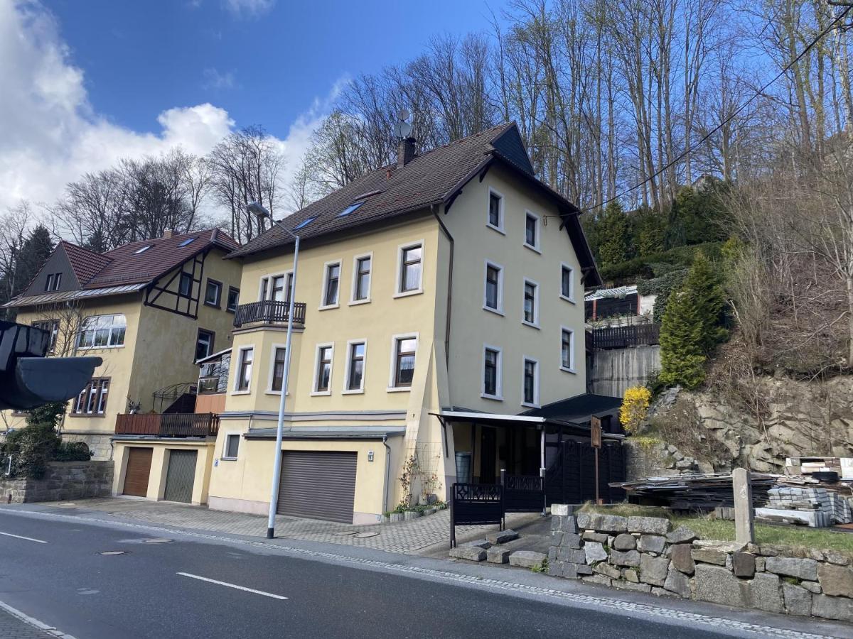 Waldblickwohnung Mit Schoener Terrasse Und Kamin Sebnitz Eksteriør bilde