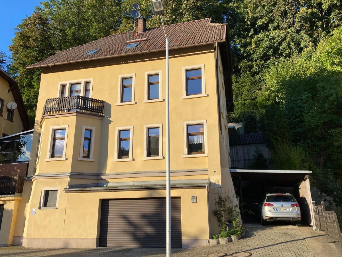 Waldblickwohnung Mit Schoener Terrasse Und Kamin Sebnitz Eksteriør bilde