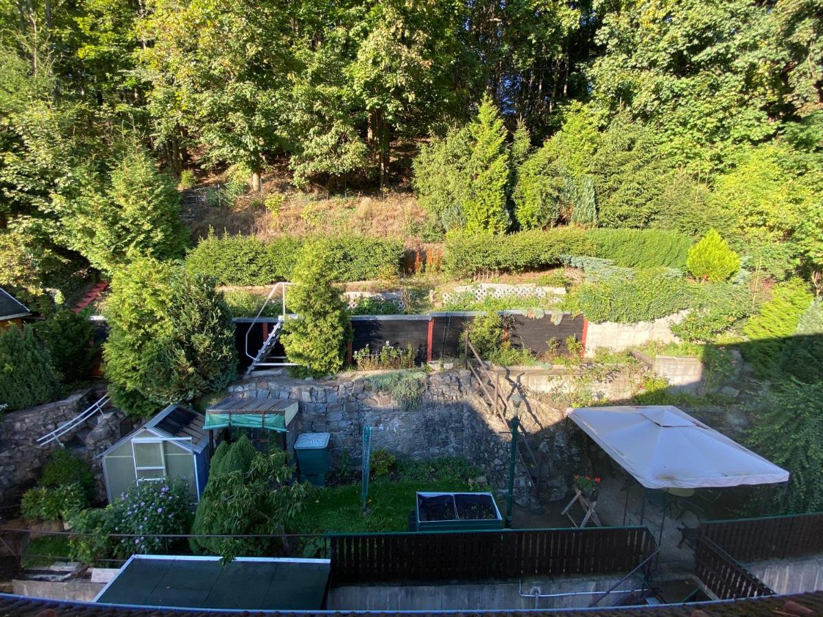 Waldblickwohnung Mit Schoener Terrasse Und Kamin Sebnitz Eksteriør bilde