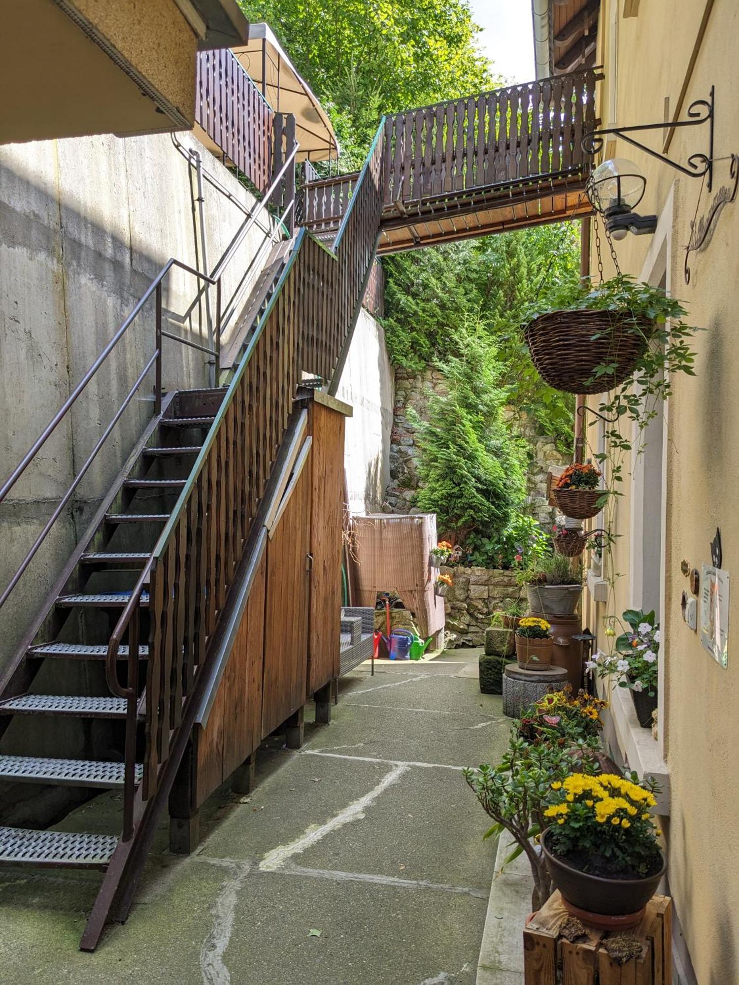 Waldblickwohnung Mit Schoener Terrasse Und Kamin Sebnitz Eksteriør bilde