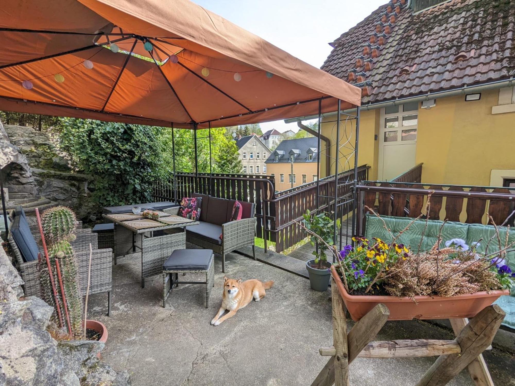 Waldblickwohnung Mit Schoener Terrasse Und Kamin Sebnitz Eksteriør bilde